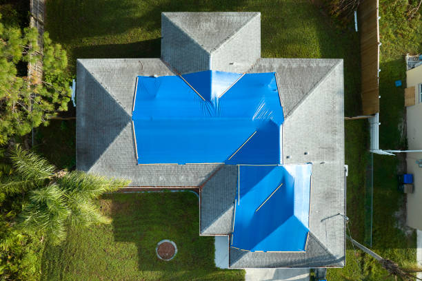 Best Skylight Installation and Repair  in Syracuse, NY