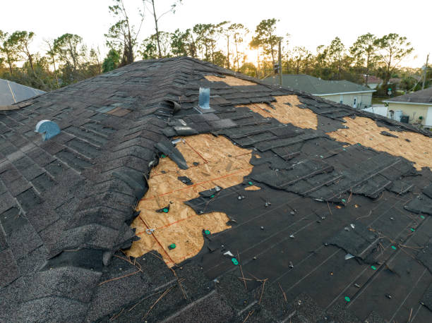 Best Green or Eco-Friendly Roofing Solutions  in Syracuse, NY