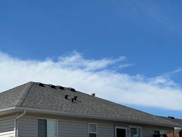 Best Wood Shake Roofing  in Syracuse, NY